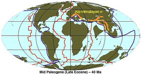 Paleogene - Independent Study