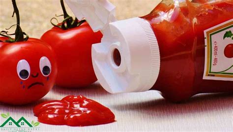 Ketchup vs Tomato Sauce [Can You Substitute One]