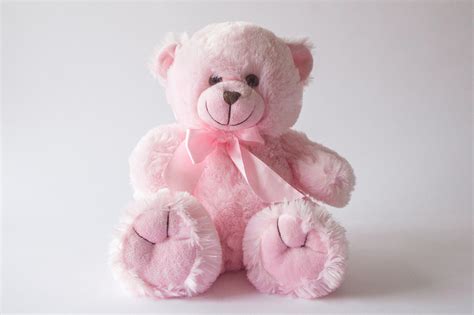 Teddy Bear Pink