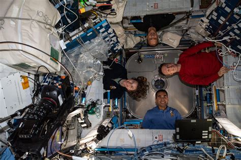 Space Station Crew Kicks Off 2022 With Biology, Botany and Spacewalk Preps