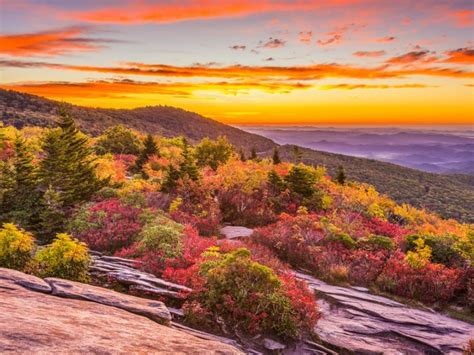Fall Colors In North Carolina 2024 - Clio Melody