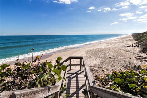 THE 10 BEST Florida Pet Friendly Beach Hotels of 2019 (with Prices) - TripAdvisor