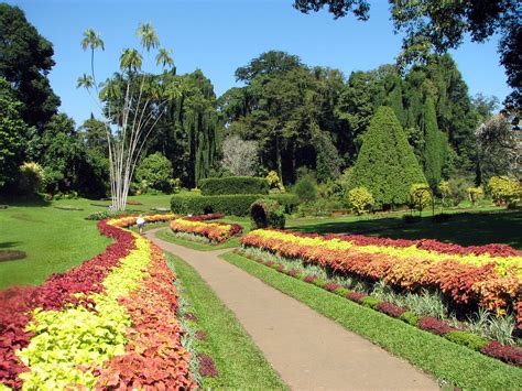 ファイル:Botanical Garden of Peradeniya 03.jpg - Wikipedia