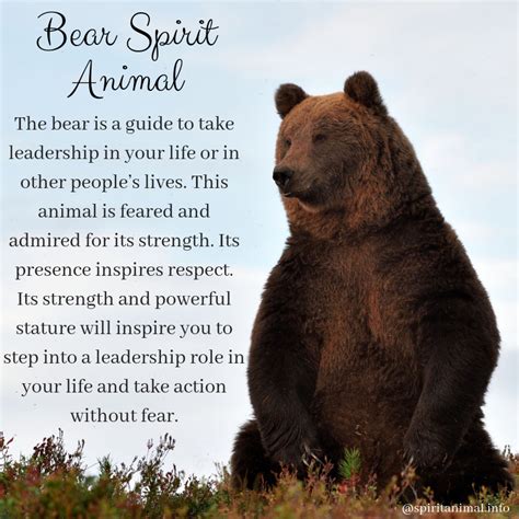 Bear Spirit Animal | Meaning | Bear spirit animal, Spirit animal totem ...