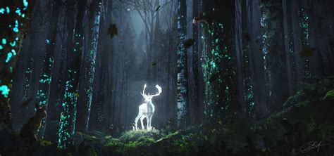 Glowing Forest Wallpapers - Wallpaper Cave