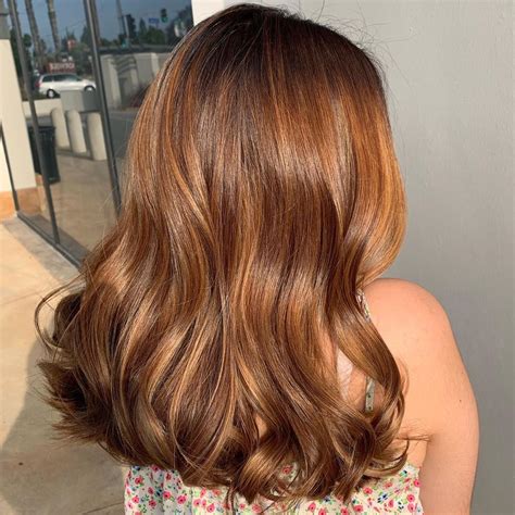 20 Stunning Chestnut Brown Hair Ideas | Honey brown hair, Chestnut hair color, Brown hair balayage