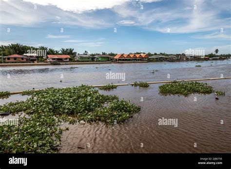 Pekan Dalat Water Front, Sarawak, East Malaysia, Borneo Stock Photo - Alamy