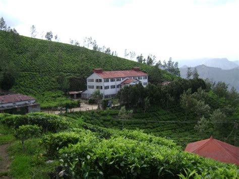 Kolukkumalai Tea Estate(Tamil Nadu)