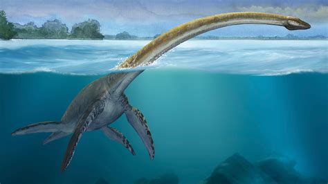 Analyze This: Bulky plesiosaurs may not have been bad swimmers after all