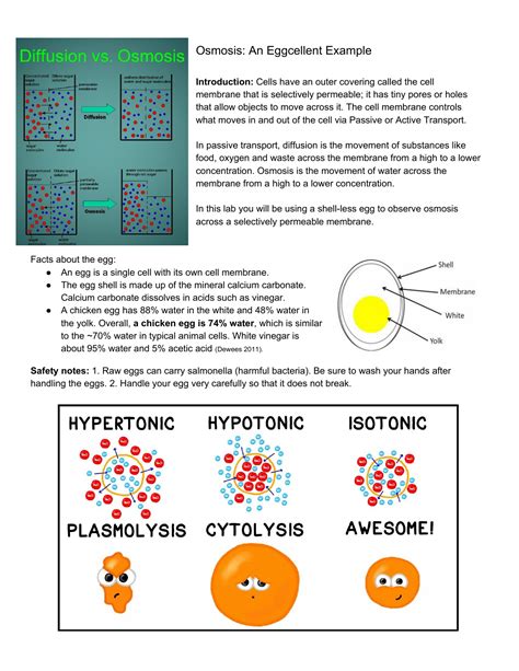 Osmosis Egg Experiment Explanation