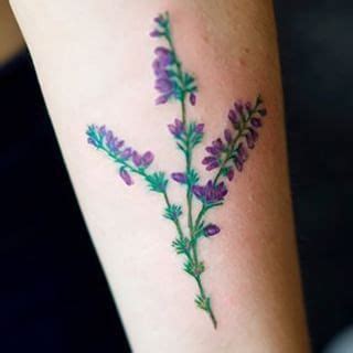 84 Heather tattoo ideas | heather flower, heather plant, scottish heather