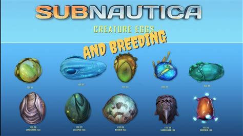 SUBNAUTICA ALL EGGS - YouTube