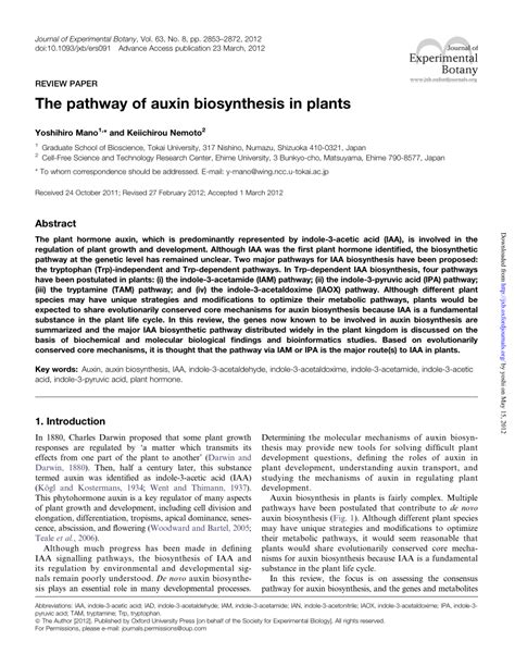 (PDF) The pathway of auxin biosynthesis in plants