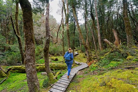 The Best Hikes in Tasmania, Australia