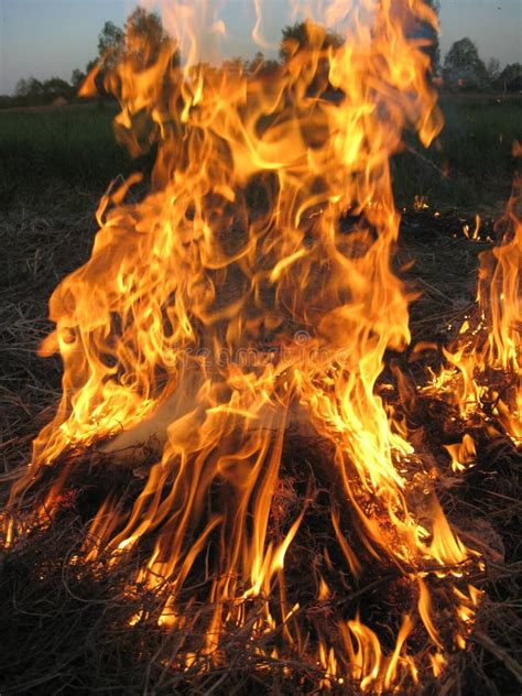 Fire in the field stock photo. Image of heat, color, imprudence - 25994122