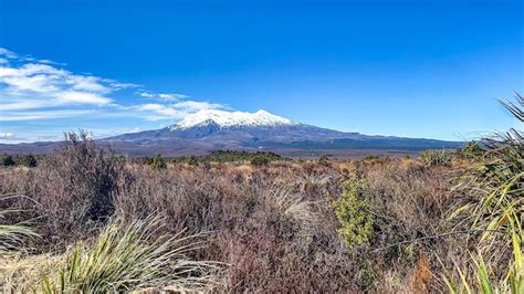 Premium Photo | The volcanic terrain of the national park in the western side of the central ...