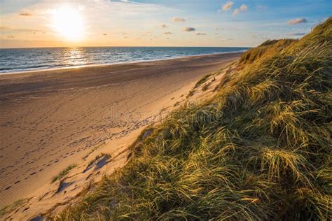 North Sea Beach, Jutland Coast in Denmark Stock Image - Image of dune, jutland: 145539421