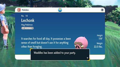 Shiny Lechonk pokemon scarlet 1/4096 odds 18/11/2022 🐖 | Pokémon Amino