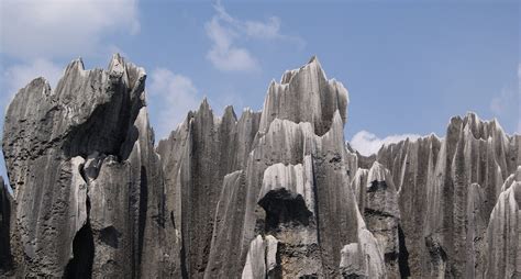 Scientists Solve Mystery of How World’s ‘Stone Forests’ Formed ...