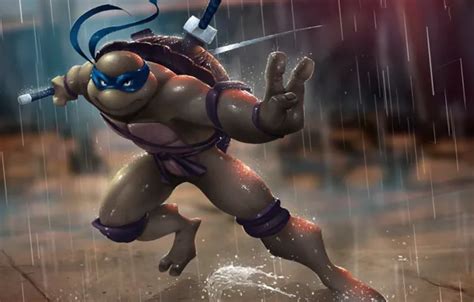 Wallpaper rain, turtle, sword, ninja, tmnt, mutant, Leonardo, Teenage ...