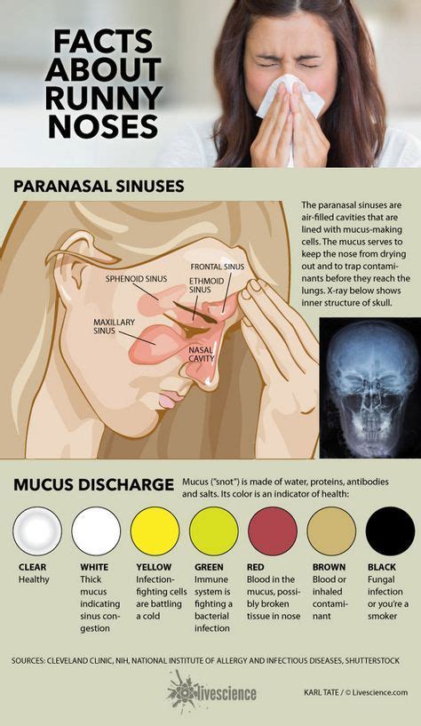 It goes by many names: snot, booger, phlegm, mucus. Call it what you ...