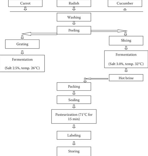 7 Generalized flow chart of the production of lactic acid-fermented... | Download Scientific Diagram