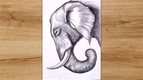 How To Draw A Elephant Head - Forcesurgery24