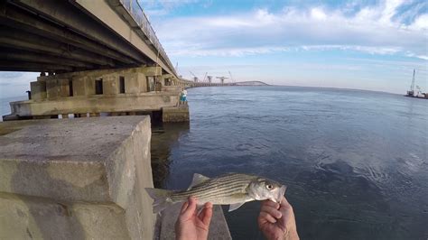 Fishing at Oregon Inlet Bridge - YouTube