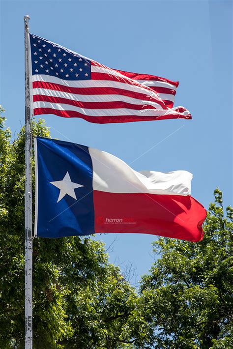 U.S. and Texas flags flying in the breeze of the Lone Star State ...