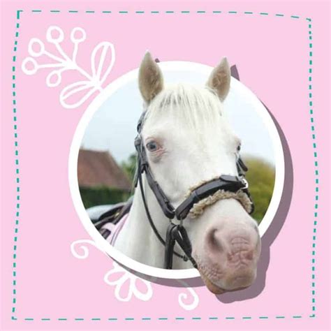 Meet This Esme | YouTube superstar | Pony Magazine