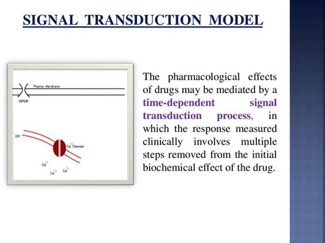 Pharmacokinetic and Pharmacodynamic Modeling