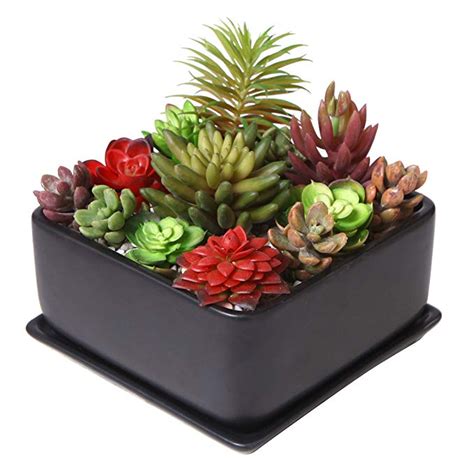 Amazon.com : Modern 7 inch Square Ceramic Succulent Planter Pot with ...