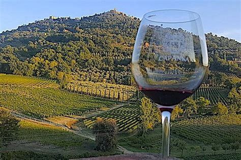 THE 10 BEST Montepulciano Wineries & Vineyards (with Photos) - TripAdvisor