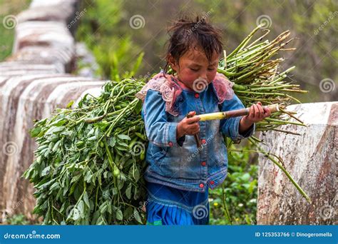 Child Labor In Breaking Field, Dhaka, Bangladesh Editorial Photo ...