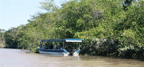 Palo Verde Boat Tour - Discover Palo Verde National Park - Book Private Airport Transfer Costa Rica