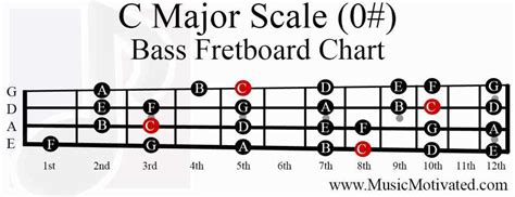 C Major & A minor scale charts for Guitar and Bass 🎸