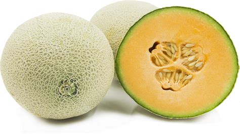 Cantaloupe Melon Information, Recipes and Facts