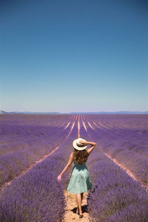 The Lavender Festival, Provence - The Londoner | Travel photography, Travel inspiration ...