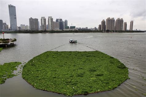 Chinese River Turns Blood Red Overnight Picture | Photos: Strange and Mysterious Happenings in ...