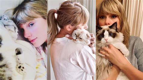 The Best of Taylor Swift and Her Cats - YouTube