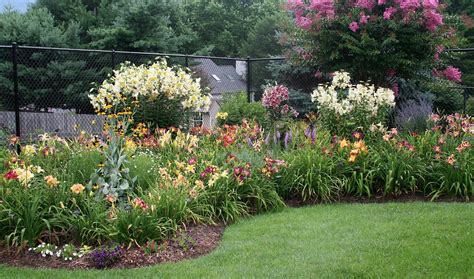 Daylily Garden, Rose Garden, Garden Plants, Vegetable Garden, Attached Pergola, Retractable ...