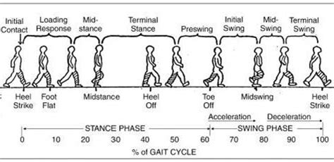 Words to Describe Gait and Posture