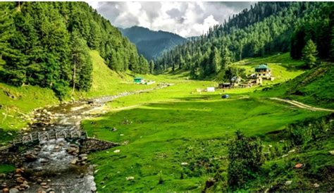 Doodhpatri: A new travel destination in Kashmir – ThePrint – ANIFeed