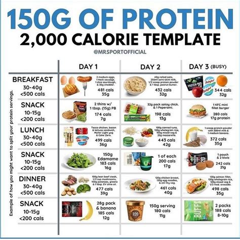 Protein Meal Plan for High-Calorie, High-Protein Recipes