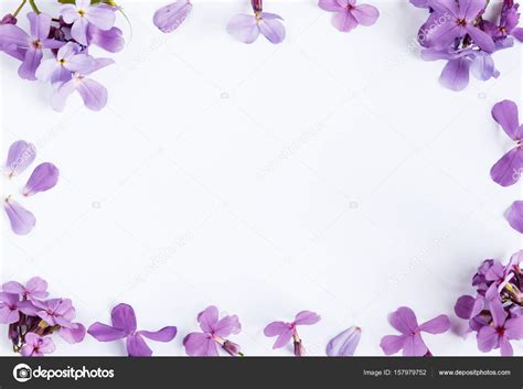 Purple Flower White Background Wallpaper | Best Flower Site