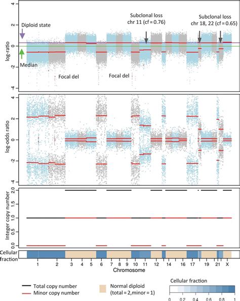 Integrated visualization of FACETS analysis of whole-exome sequencing... | Download Scientific ...