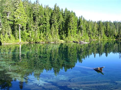 Mowich Lake Campground - Visit Rainier