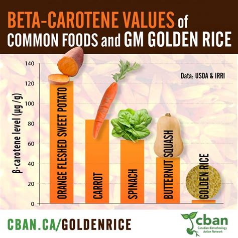 Golden Rice | CBAN