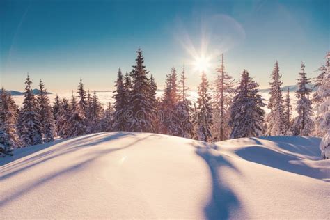 Majestic winter landscape stock image. Image of outdoor - 132266805