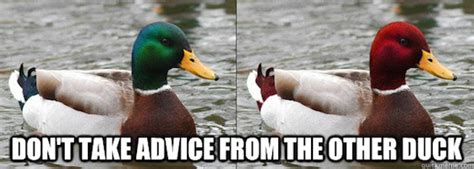 Really Funny Memes: Malicious Advice Mallard